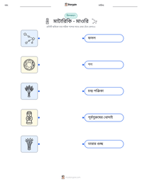 মাটারিকি - মাওরি মুদ্রণযোগ্য কাজের পৃষ্ঠার প্রিভিউ