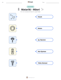 Matariki - Māori yazdırılabilir çalışma sayfası önizlemesi