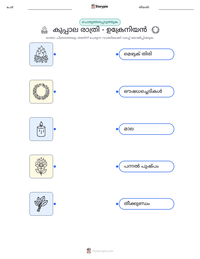 കുപ്പാല രാത്രി - ഉക്രേനിയൻ പ്രിന്റ് ചെയ്യാവുന്ന വർക്ക്‌ഷീറ്റ് മുൻകൂർ കാഴ്ച