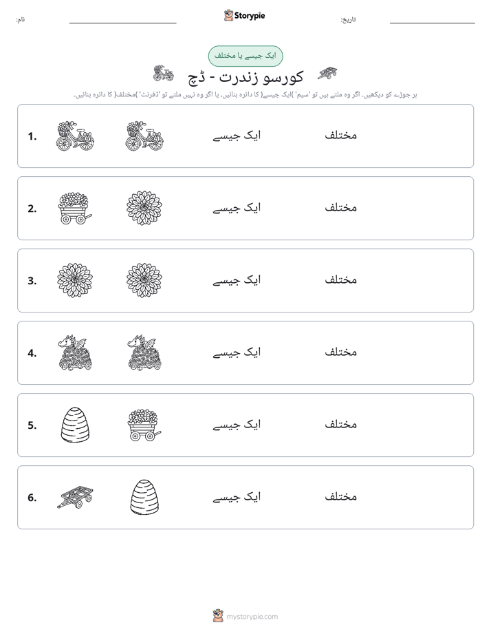 ایک جیسا یا مختلف