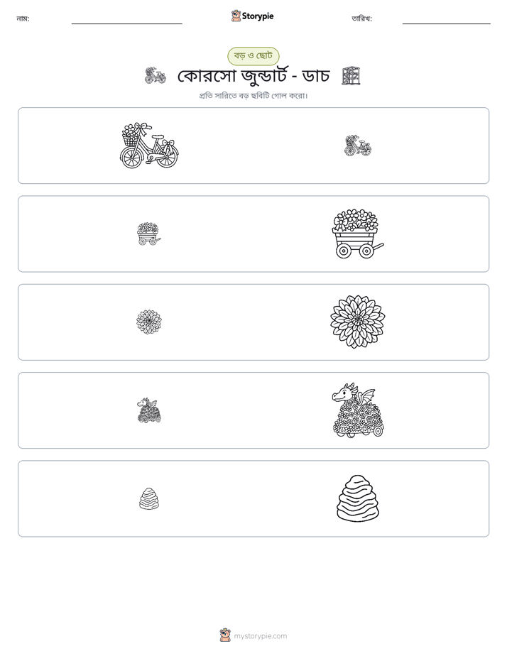 সাজানো
