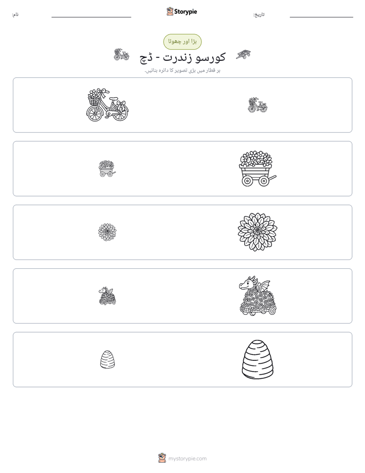 ترتیب دینا